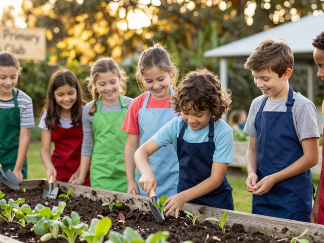 Why Do After School Clubs Matter for Kids Today?