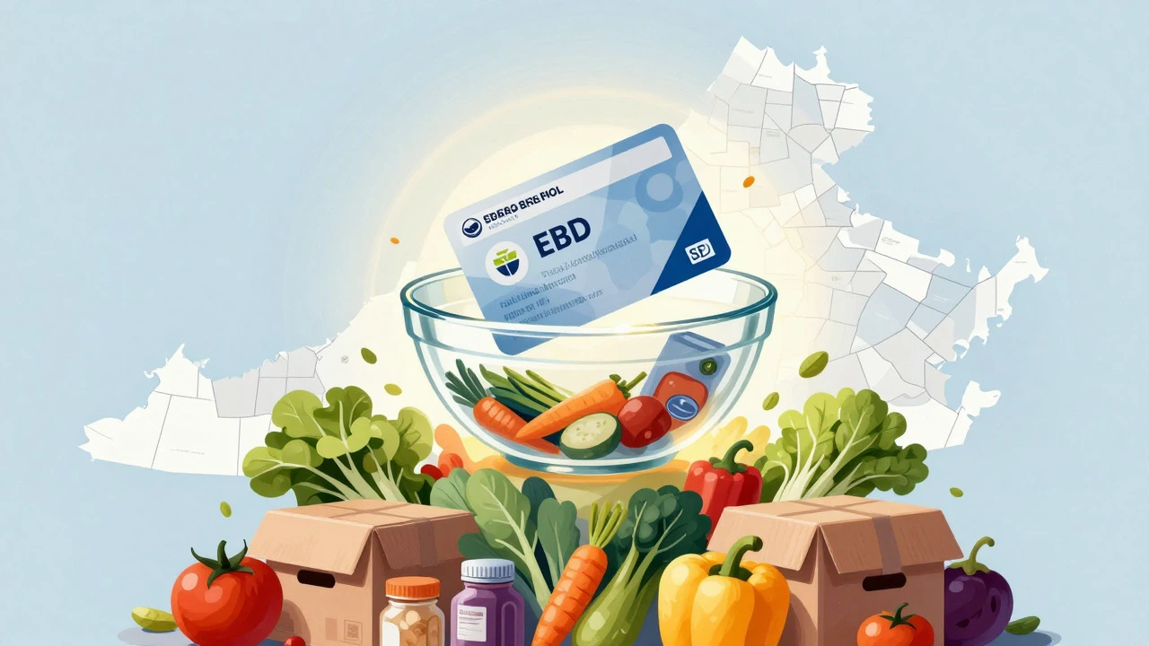 Artistic concept of combining EBT benefits with local food box resources